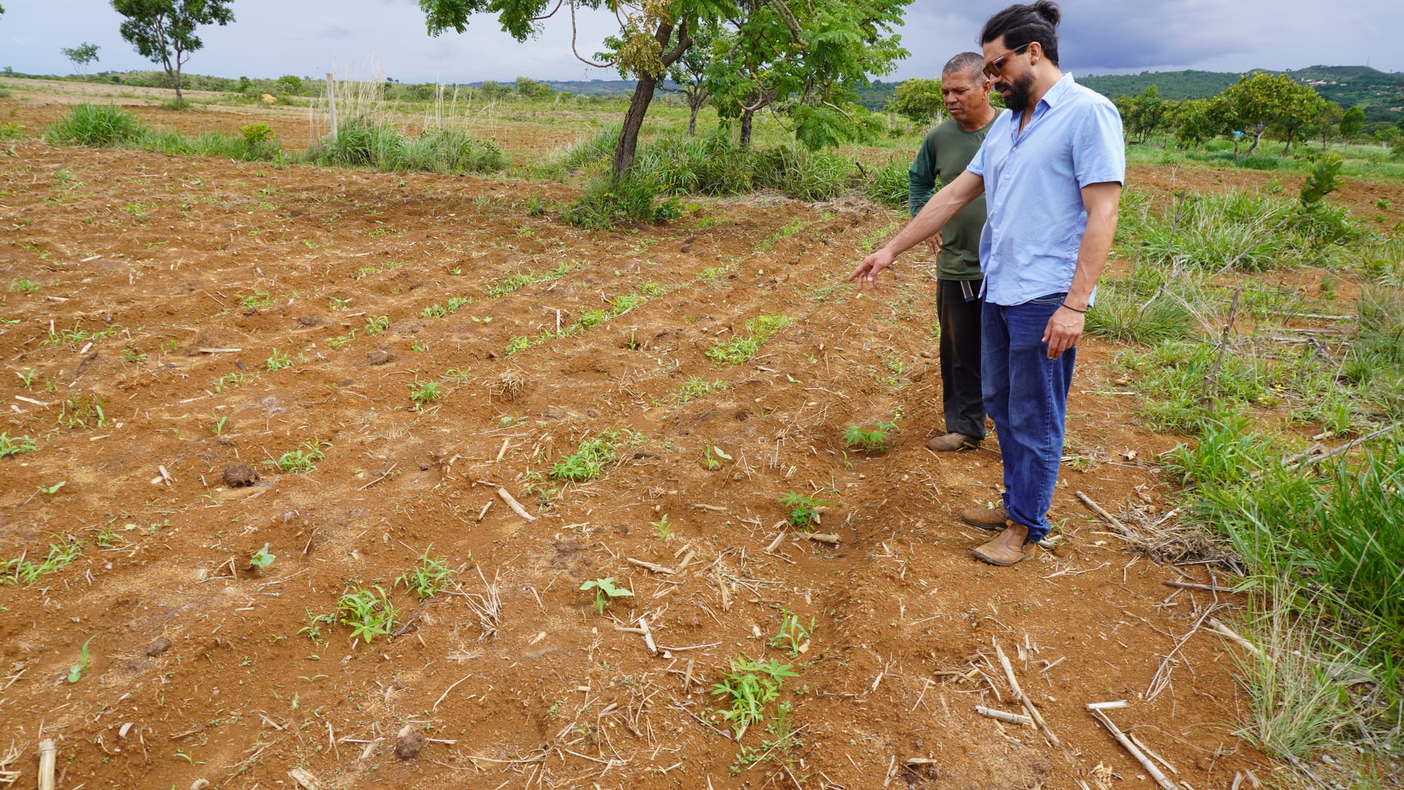 Assistência técnica no DF ajuda a aumentar o número de produtores que têm certificação orgânica