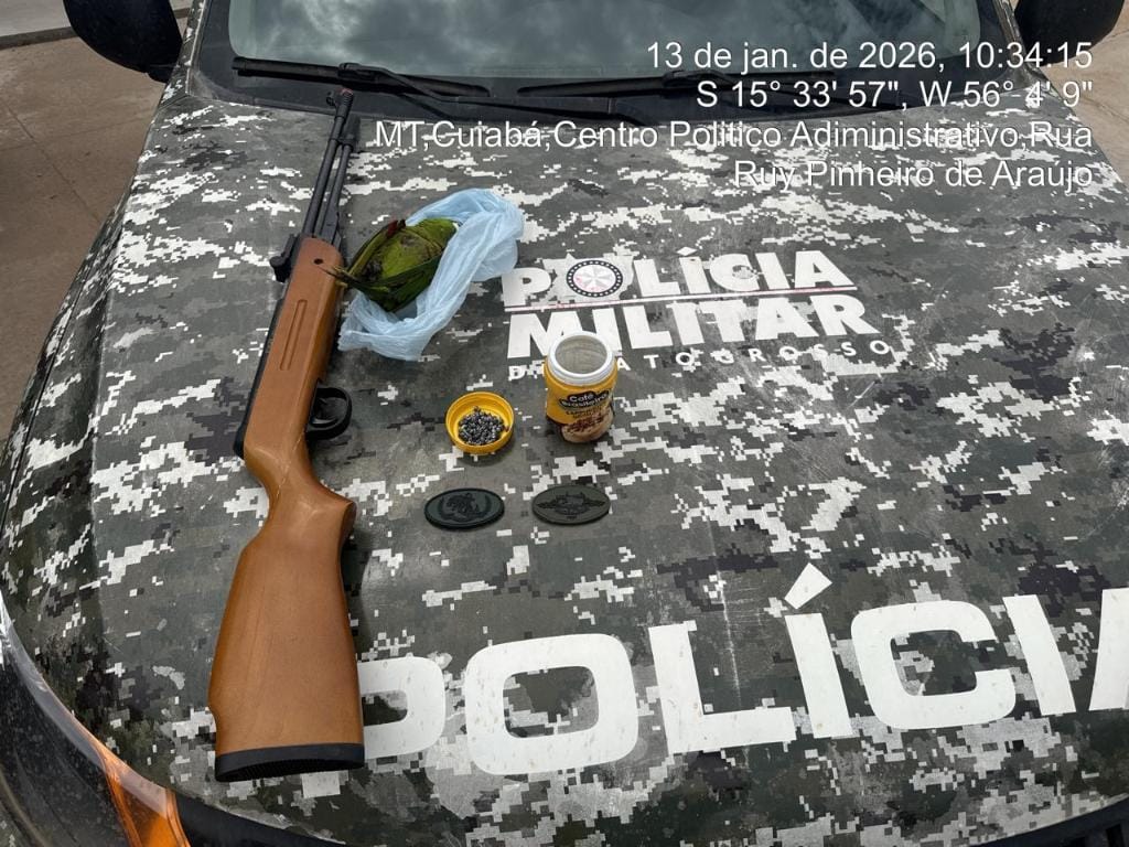 Batalhão Ambiental prende homem por matar ave silvestre com espingarda em Cuiabá-MT