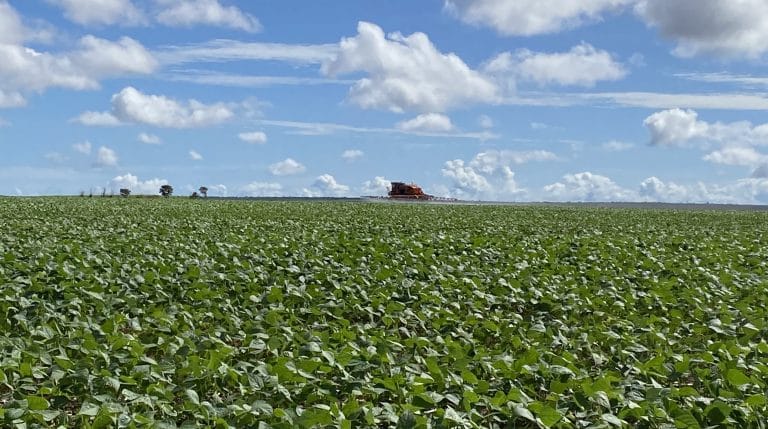 GDF faz atendimento itinerante para facilitar entrega da Declaração Anual da Exploração de Soja