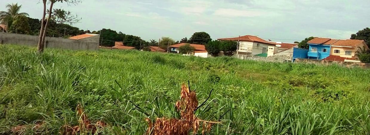 Lei sancionada cria canal para denúncias de terrenos baldios em Várzea Grande-MT