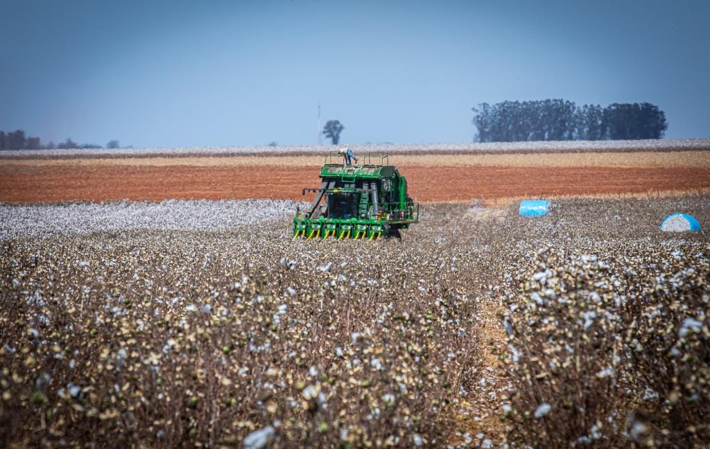 Governo de MT prorroga diferimento do ICMS para fertilizantes e mantém benefício até dezembro de 2026