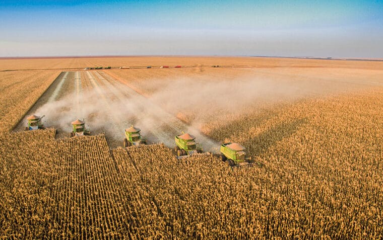 IBGE prevê safra recorde de 346 milhões de toneladas em 2025