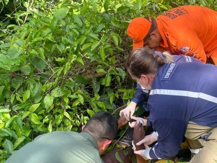 Corpo de Bombeiros localiza homem de 53 anos que estava desaparecido em área de mata em Sorriso-MT