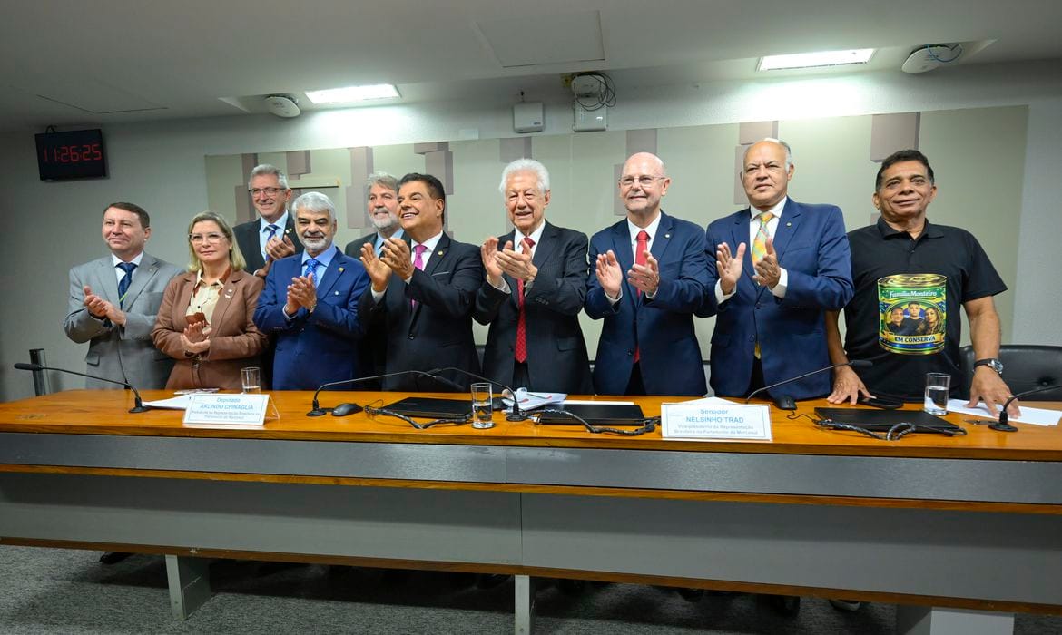 Representação Brasileira do Parlasul aprova acordo Mercosul-UE