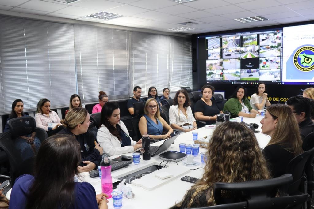 GGI MT define projetos e nova coordenação da Câmara Temática de Defesa da Mulher para 2026