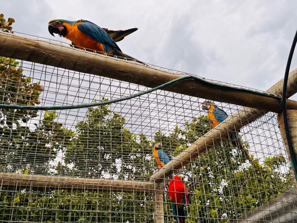 Guarda de animais silvestres permanece aberta durante todo o ano, entenda