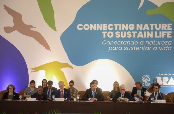 Com atuação para o desenvolvimento e conservação ambiental, MS sedia encontro de líderes globais que antecede COP15