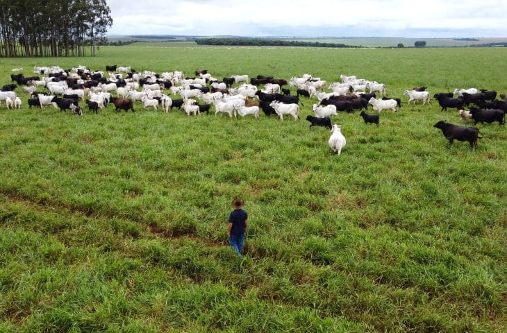 Com maior crescimento do país, agro de MS é fruto de incentivo, modernidade e sucesso do homem do campo