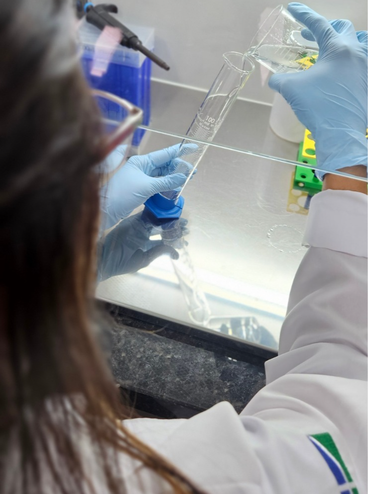 Startup desenvolve ativos para cosméticos a partir do veneno de vespas do Cerrado