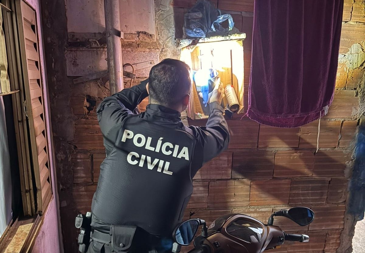 Operação Destroyer provoca prejuízo de mais de R$ 235 milhões ao crime organizado em Goiás