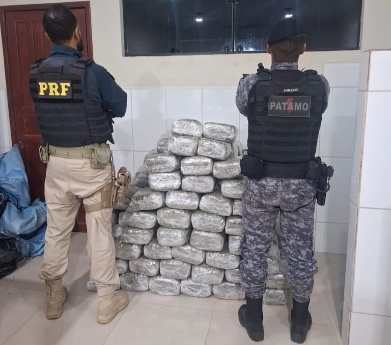 Ação conjunta da PRF em Rondônia e PMRO resulta na apreensão de mais de 180 kg de skunk em Cacoal-RO