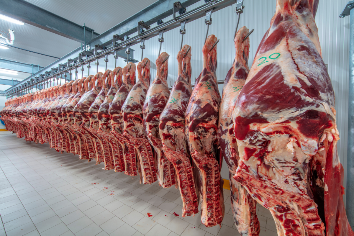 Exportações de Carne Bovina Devem Recuar 10% em 2026 com Restrições no Mercado Chinês