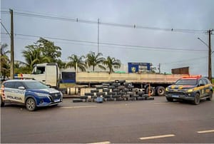 Polícia Militar de MT e PRF realizam grande apreensão de drogas e prendem motorista em Nova Mutum (MT)