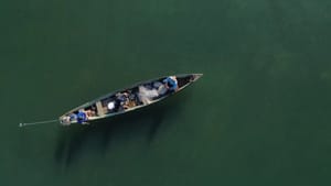 Pescadores profissionais têm até dia 31 para comprovar atividade