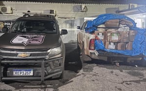 Operação apreende 800 kg de agrotóxicos contrabandeados em GO