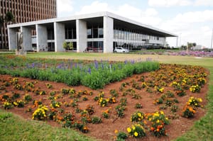 Casa Civil do DF divulga manual sobre condutas proibidas de agentes públicos durante o período eleitoral
