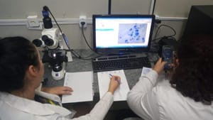 Fapeg informa sobre pagamento das bolsas de janeiro