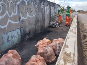 Mutirão de zeladoria contempla diversos pontos de Ceilândia nesta segunda (12)