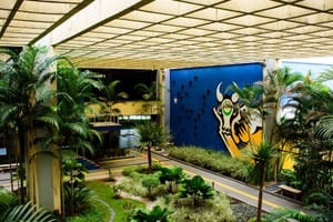 Governo de MT é comunicado pela Abiove do fim da Moratória da Soja