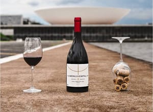 Vinhos do cerrado brasiliense atraem atenção de empresas do setor