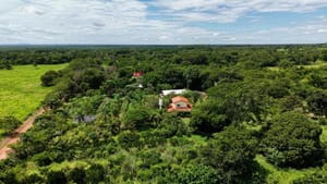 Agrofloresta em Santo Antônio de Leverger avança para conquistar selo e fortalecer produção de ovos caipira