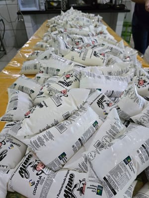 Cesta de derivados lácteos de janeiro tem variação positiva em Goiás