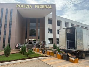 COD apreende carga com mais de 15 mil cigarros eletrônicos