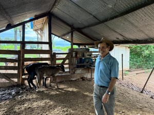 "Temos a chance de melhorar a genética do nosso gado leiteiro", afirma produtor de Chapada dos Guimarães-MT