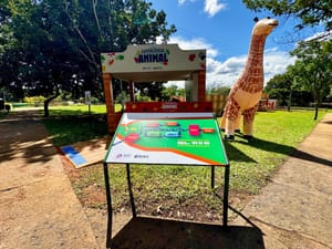 Exposição imersiva convida visitantes a sentir a vida selvagem no Zoológico de Brasília