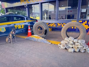 Apreensão de entorpecentes: PRF localiza aproximadamente 65 kg de drogas na BR-364 em Rondonópolis-MT