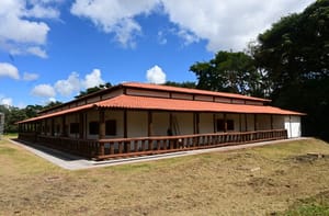 Conexão sem fronteira: espaço aberto ao público durante COP15 vai receber debates e atividades culturais