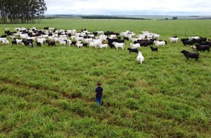 Com maior crescimento do país, agro de MS é fruto de incentivo, modernidade e sucesso do homem do campo