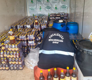 Operação HoneyPot apreende mais de 2,3 toneladas de mel irregular em Ceilândia-DF