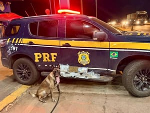 PRF apreende droga durante fiscalização na BR-364, em Rondonópolis (MT)