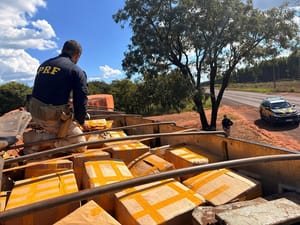 PRF apreende 1,2 tonelada de maconha e pistola em Campo Grande (MS)
