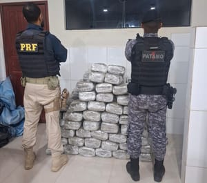 Ação conjunta da PRF em Rondônia e PMRO resulta na apreensão de mais de 180 kg de skunk em Cacoal-RO